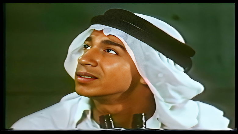 الذباب : عدو الإنسان