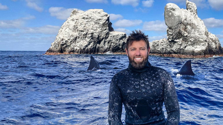 кадр из фильма Mystery of the Black Demon Shark