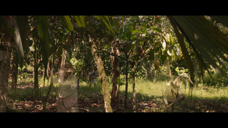 кадр из фильма Soñé su nombre