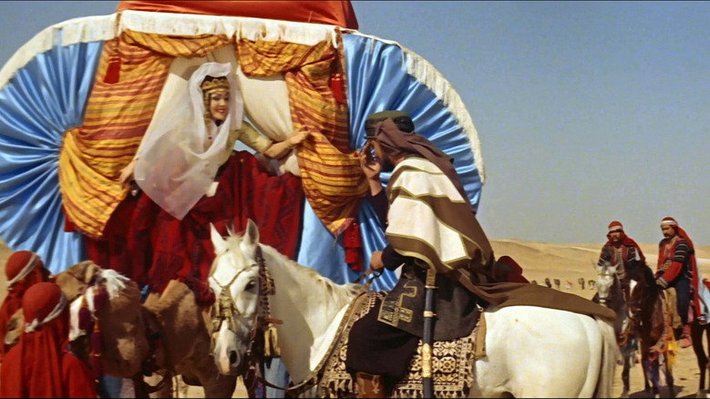 кадр из фильма Il figlio dello sceicco