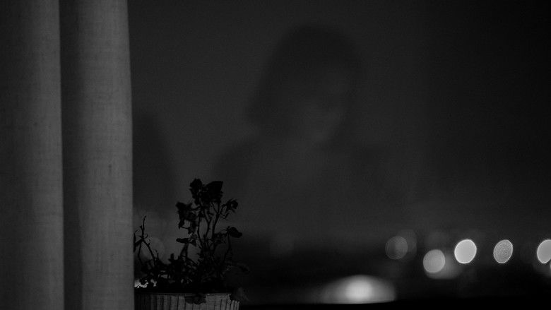 кадр из фильма Memories of a Window