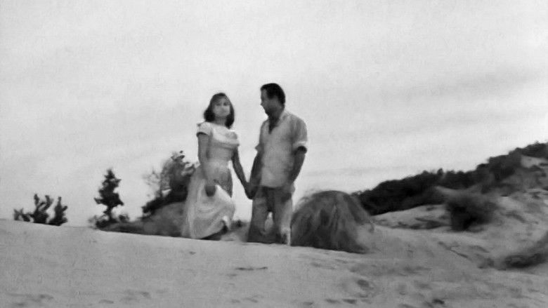 кадр из фильма Έρωτας Στους Αμμόλοφους