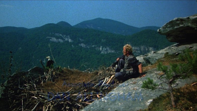 кадр из фильма Редкая порода