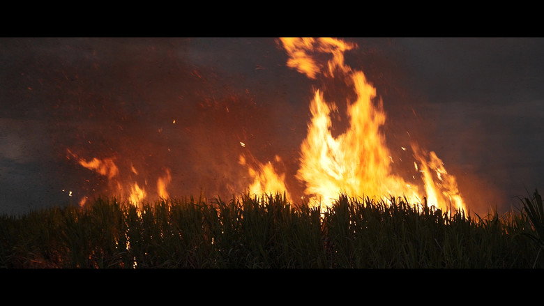 кадр из фильма Soñé su nombre