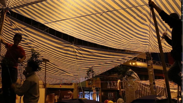 扯旗、我要真普選和……