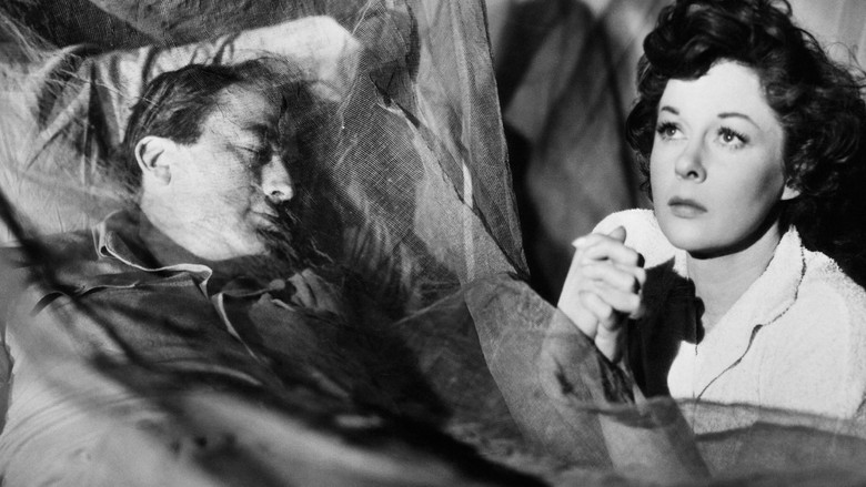 кадр из фильма Снега Килиманджаро