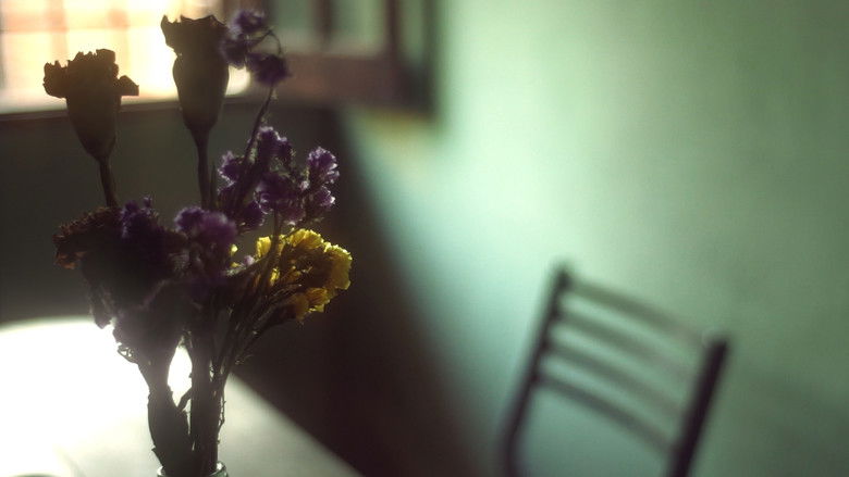 кадр из фильма De lo Indecible