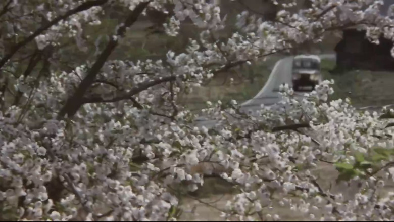 кадр из фильма Единомышленники