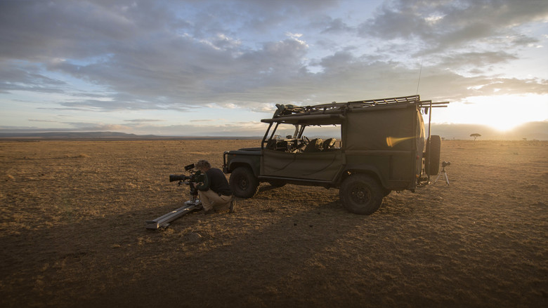 кадр из фильма Man Among Cheetahs