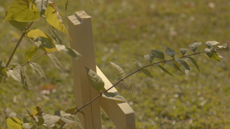 кадр из фильма Moving Day