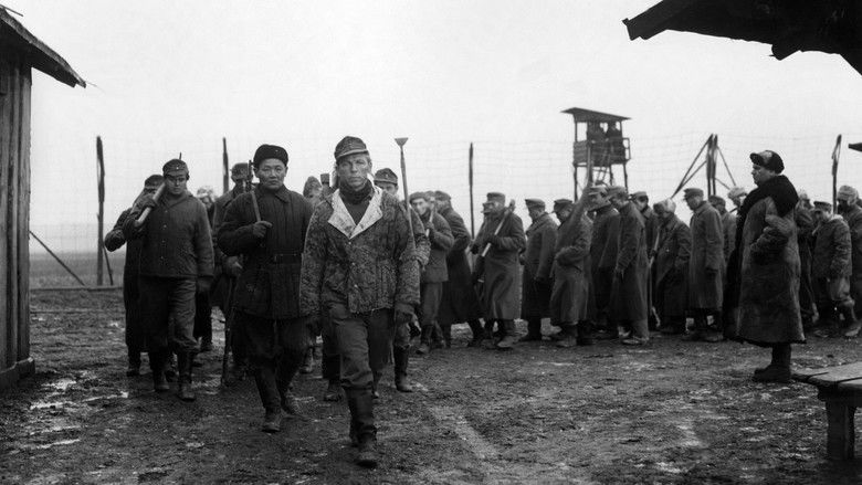 кадр из фильма Der Arzt von Stalingrad