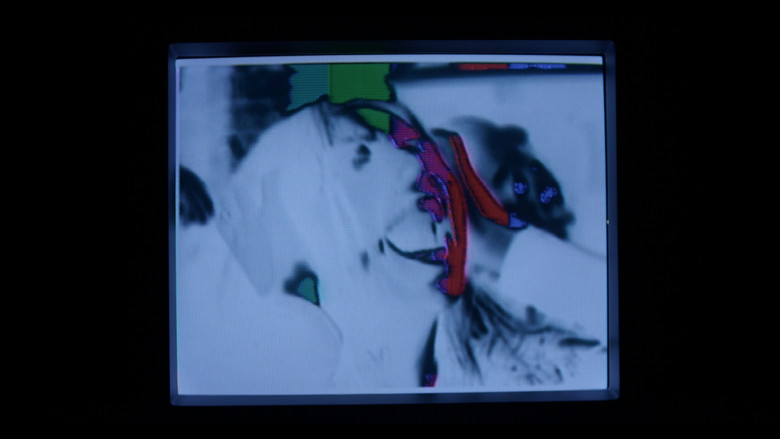 кадр из фильма THE GREY COLLAR