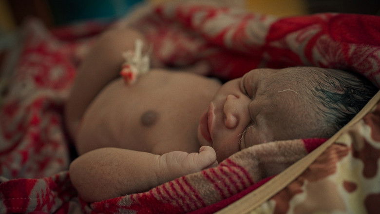 кадр из фильма También lo siento