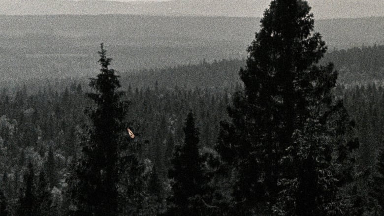 кадр из фильма Pakeneva horisontti