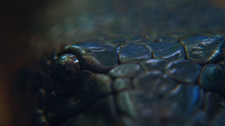 кадр из фильма Boiuna