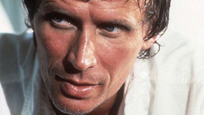 кадр из фильма Котяра