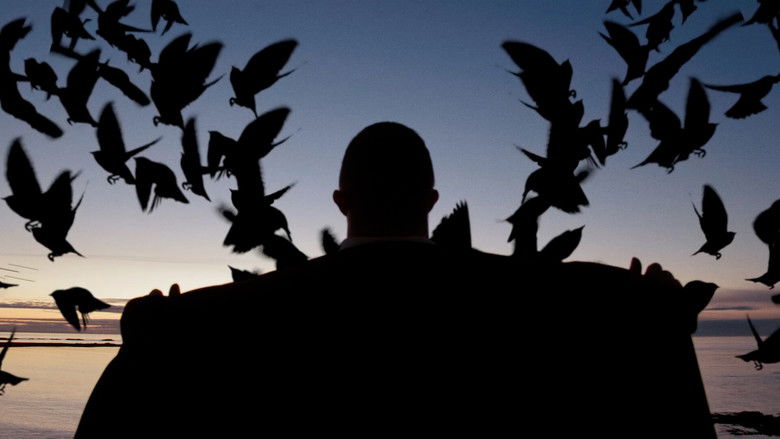 кадр из фильма The Secret Life of Tom Lightfoot