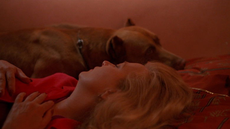 кадр из фильма Потоки любви