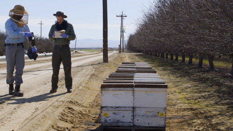 кадр из фильма Une terre sans abeilles?