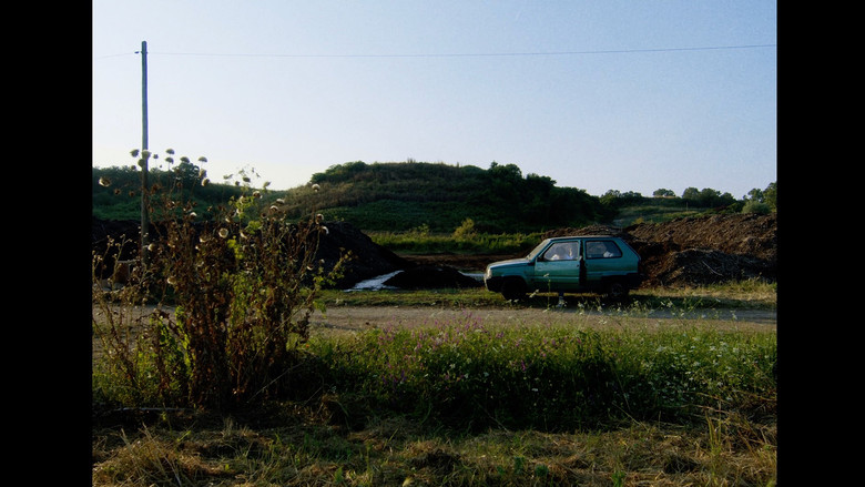 кадр из фильма Il Panda Minore