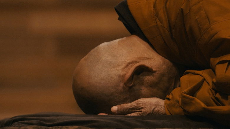 кадр из фильма Walk with Me