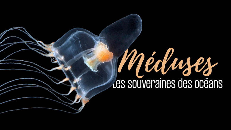 кадр из фильма Méduses les souveraines des océans