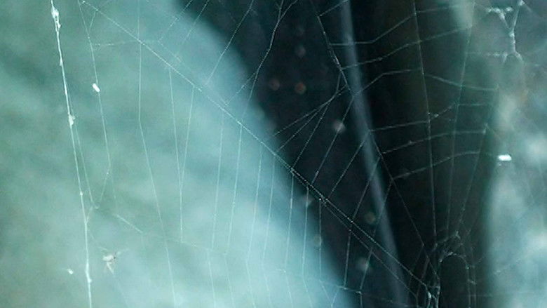 кадр из фильма Sol Garden