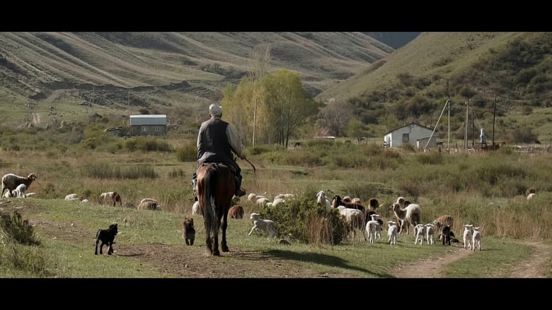 кадр из фильма Wings of Kyrgyzstan