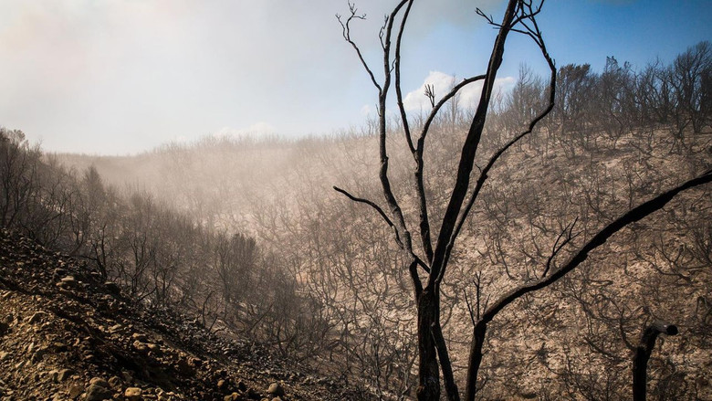 кадр из фильма La tierra que arde