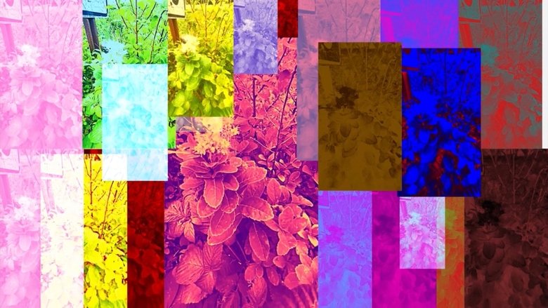 кадр из фильма Forgotten Beauty