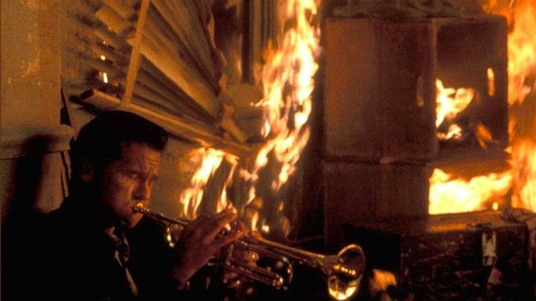 кадр из фильма Море Солтона