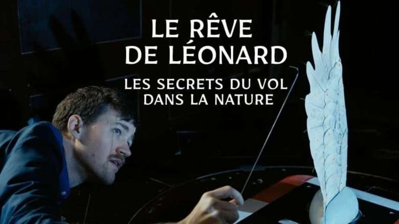 кадр из фильма Le rêve de Léonard : Les secrets du vol dans la nature