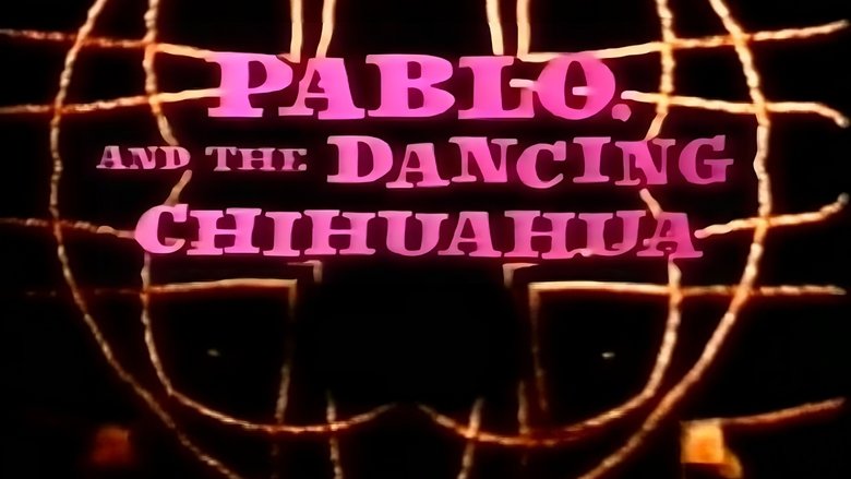 кадр из фильма Pablo and the Dancing Chihuahua
