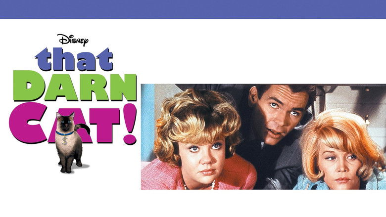 кадр из фильма Эта дикая кошка