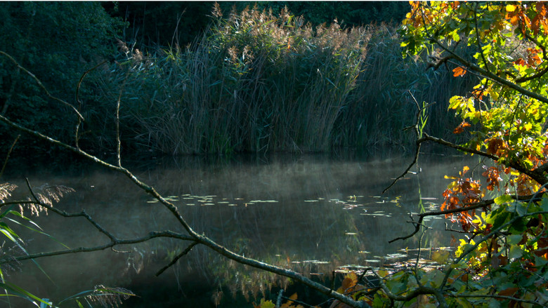 кадр из фильма Peau d'âme