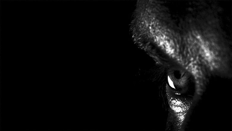 кадр из фильма Mirror