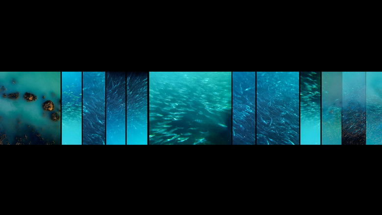 кадр из фильма GO FISH