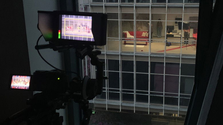 кадр из фильма Meow Window