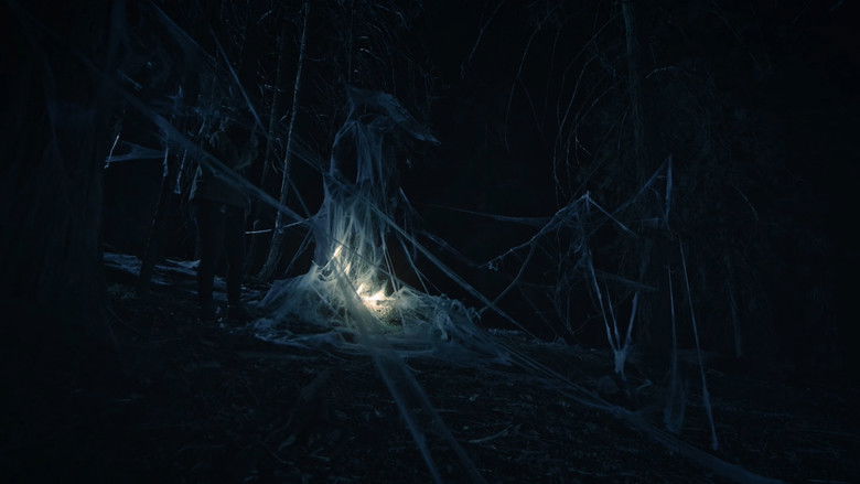 кадр из фильма The Lookout