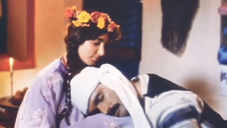 кадр из фильма Mem û Zîn