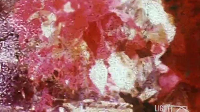 кадр из фильма The Last Lost Shot