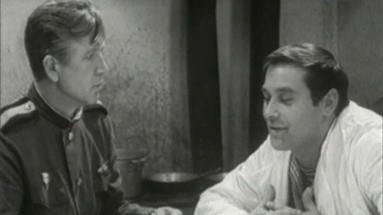 кадр из фильма Внимание, цунами!