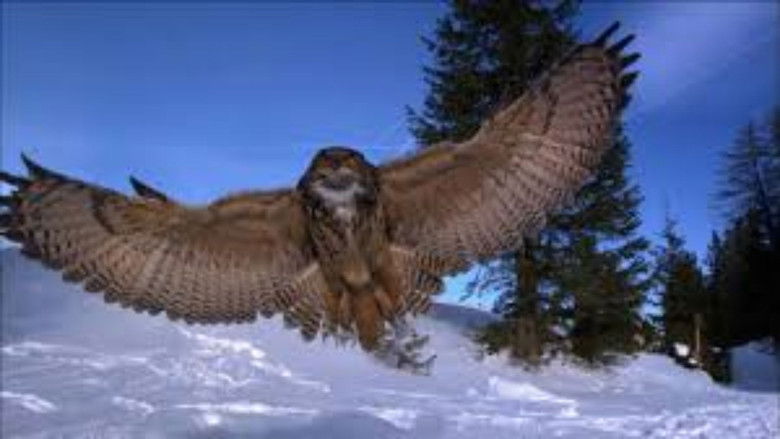 кадр из фильма Der Flug der Eule