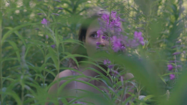 кадр из фильма QVIS I