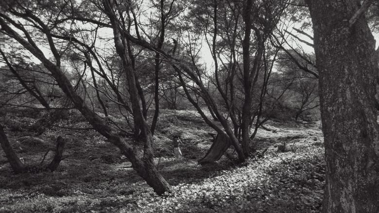 кадр из фильма Under The Idhum Tree