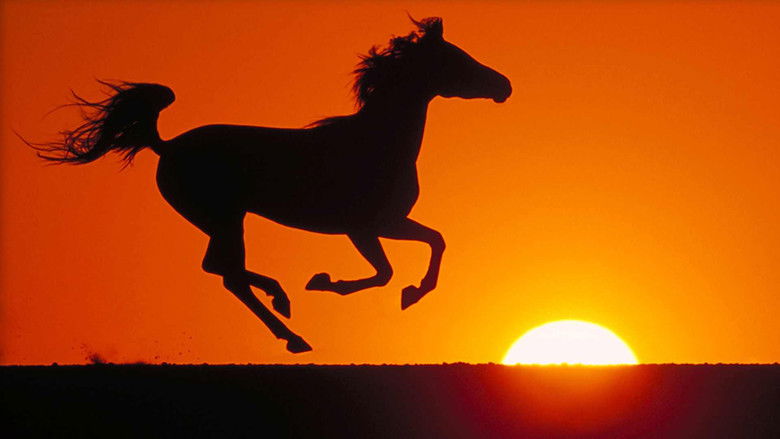 кадр из фильма Рожденный в песках