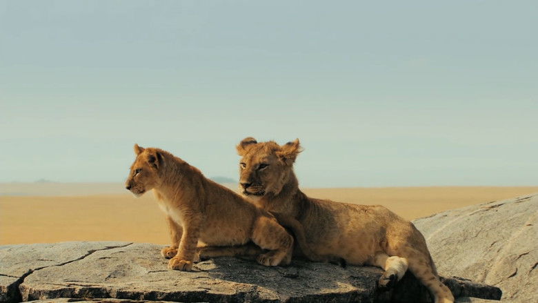 кадр из фильма Власть львов