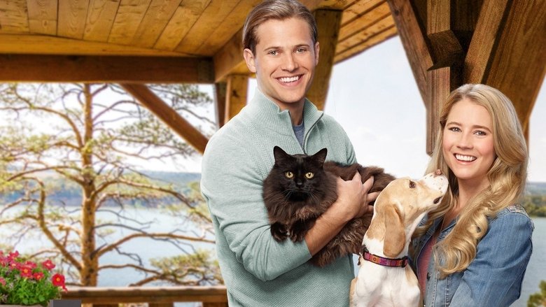 кадр из фильма Как кошка с собакой