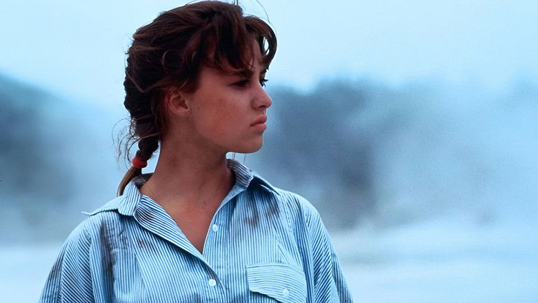 кадр из фильма The Rogue Stallion