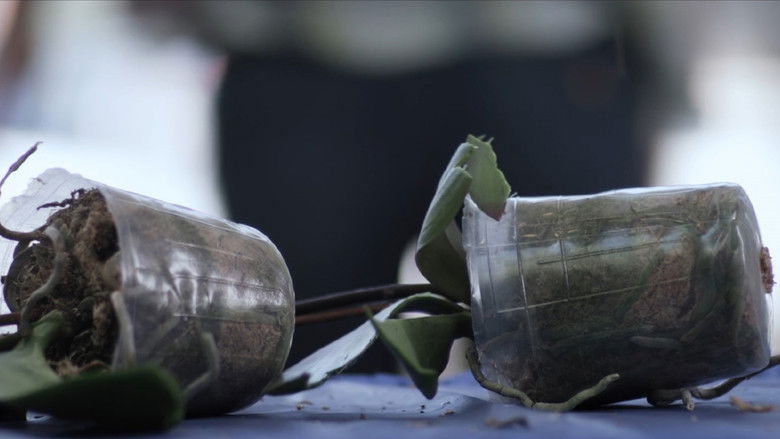 кадр из фильма Зараженная